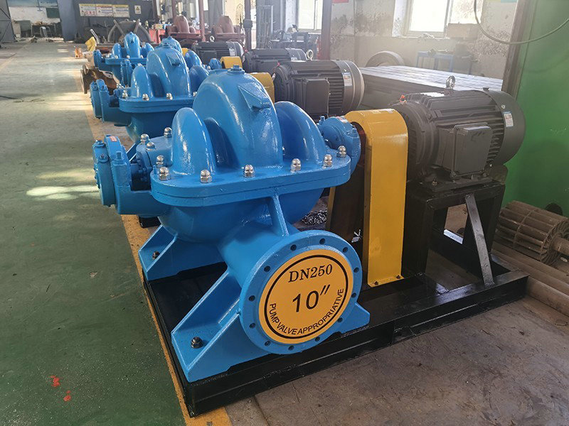 双吸乐鱼（中国）